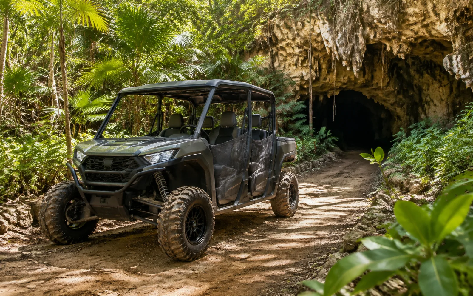 Buggy Moderado