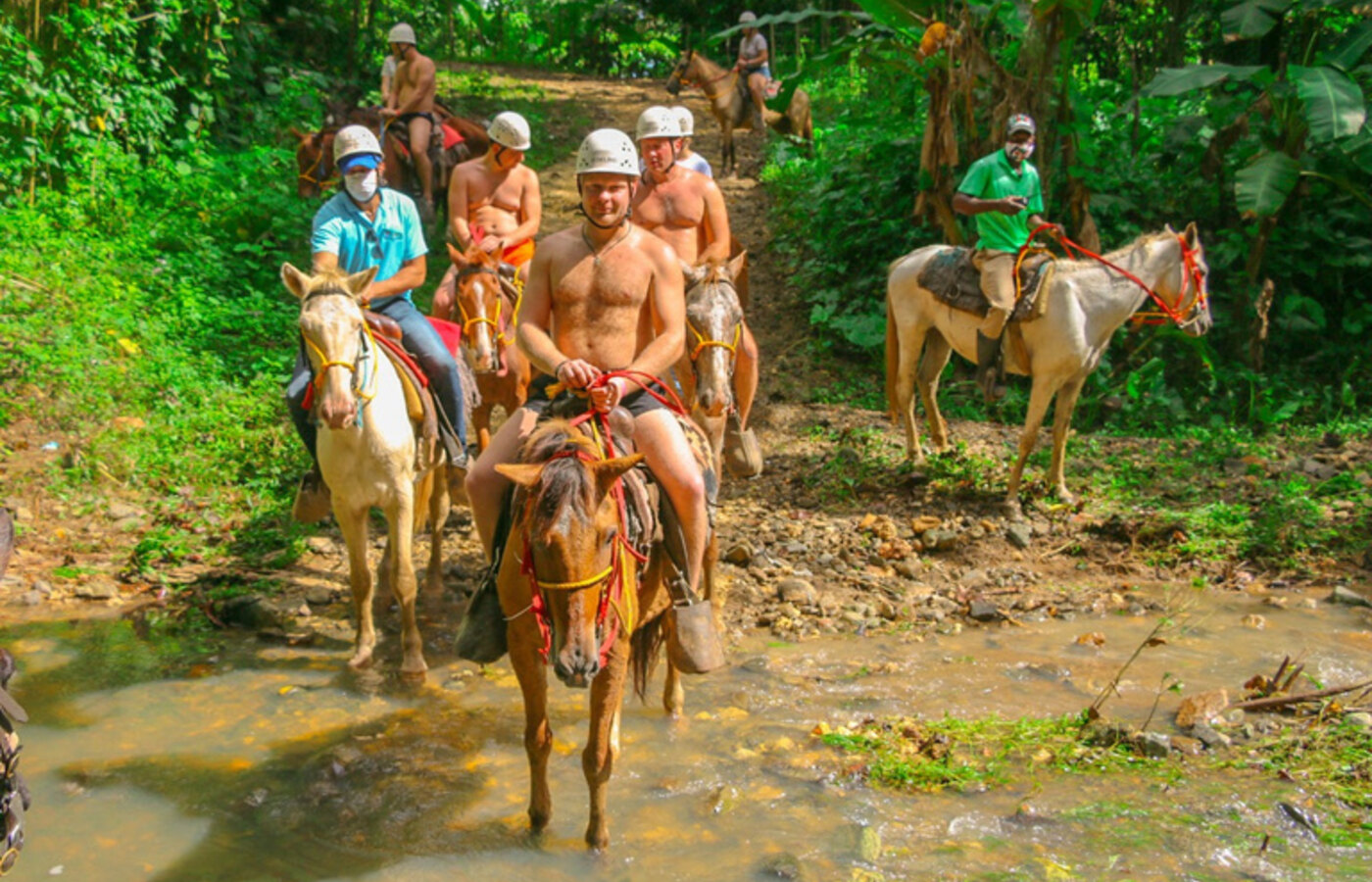 Caballos en la Playa