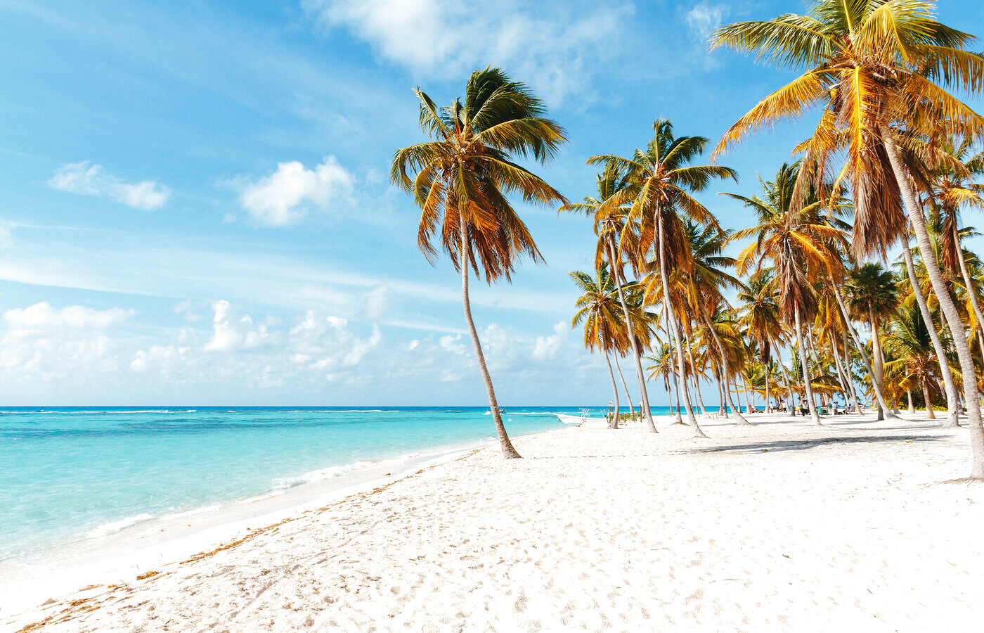 Isla Saona Clásica desde Santo Domingo